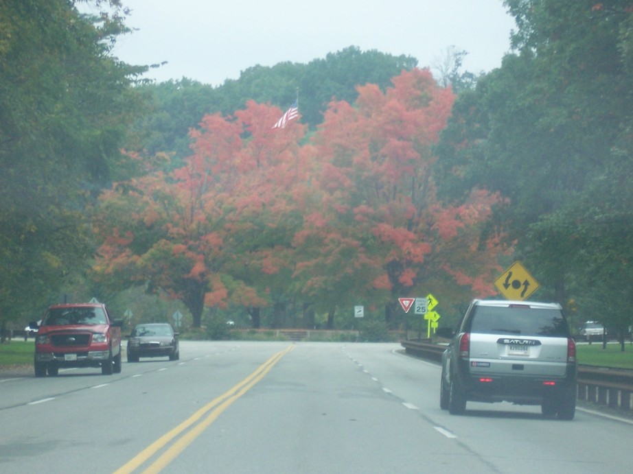 South Park Township, PA: Another view of "the Circle" on Corrigan Drive down the Park (South Park, PA)