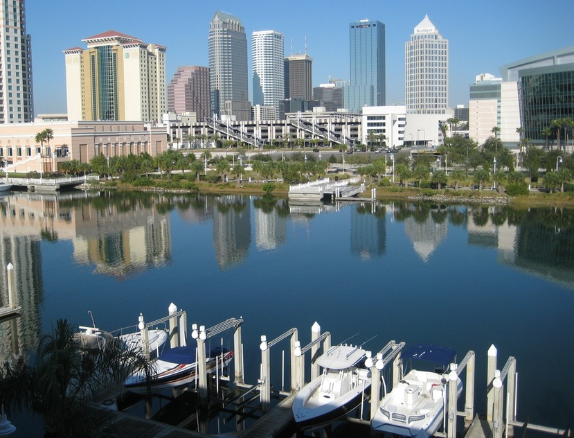 Tampa, FL: downtown tampa from harbour island