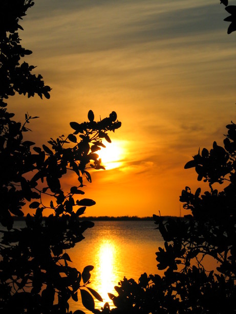 Sarasota, FL: Sunset over the bay