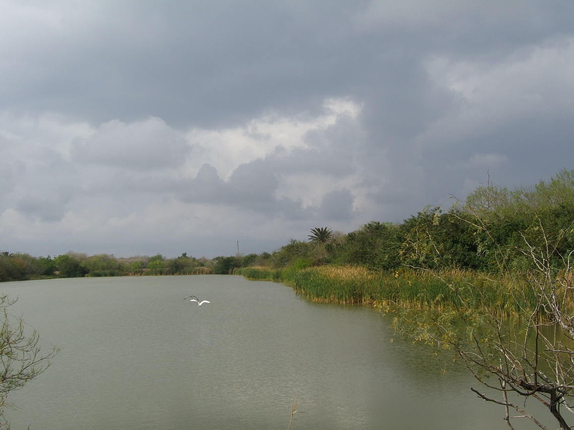 San Benito, TX: A beautiful resaca