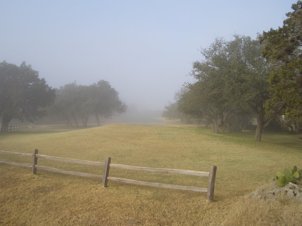 Lakeway, TX: Fog on # 14 Yaupon