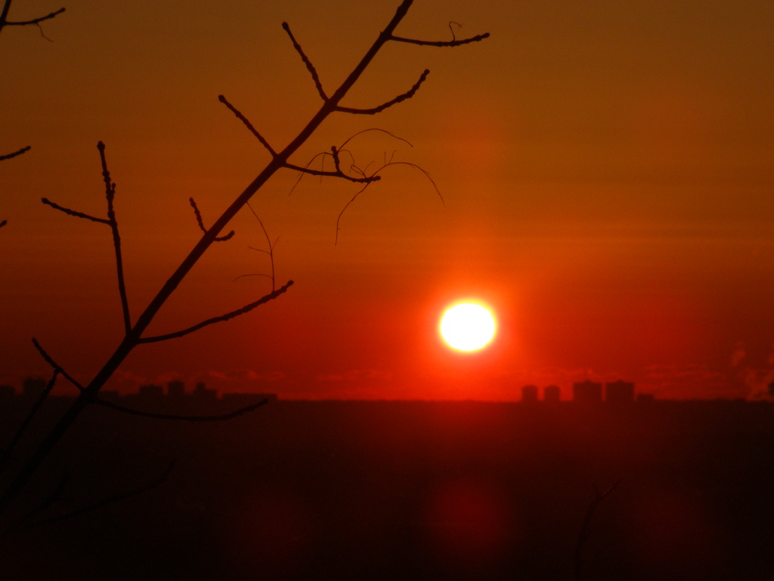 West Paterson, NJ: Morning Sunrise on a cold winter day in the park