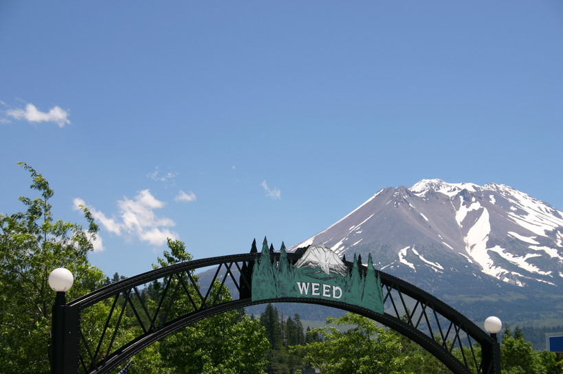 Weed, CA: Weed entry with Mt Shasta in background
