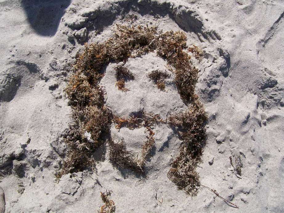 Cocoa Beach, FL: jesus at the beach