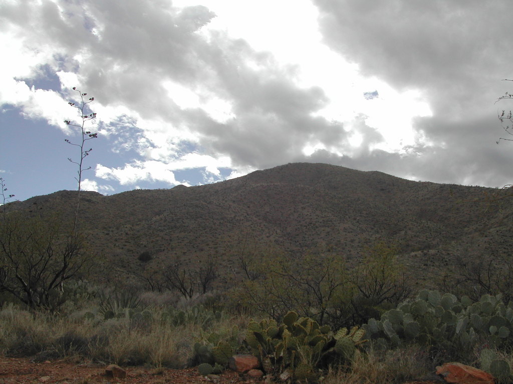 Corona de Tucson, AZ: corona de tucson