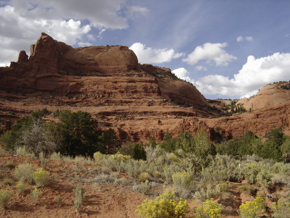 Lukachukai, AZ: Up in the Chuska Mountains; 5-10 miles East of Lukachukai, AZ