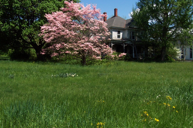 Round Hill, VA: An old house on Loudoun St. in Round Hill. The Spring time makes it beautiful
