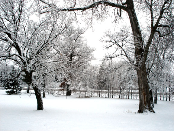 Oak Grove, MN: Winter snow in Oak Grove