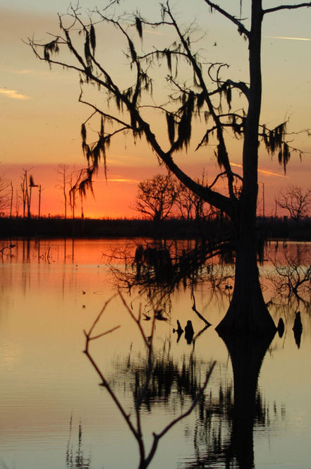 Madisonville, LA: Port Louis Sunset