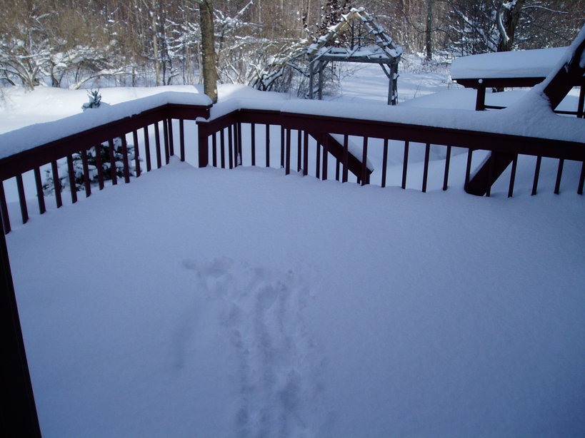 Tuftonboro, NH Where is the deck? Snow Fall 2008 photo, picture
