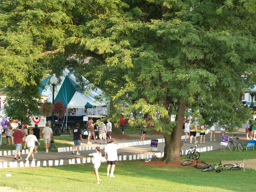 Williamstown, WV: Relay For Life in Tomlinson Park
