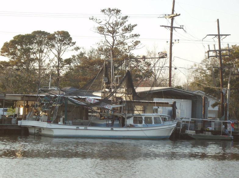 Chauvin, LA: Boat in the water of Chauvin,Louisiana