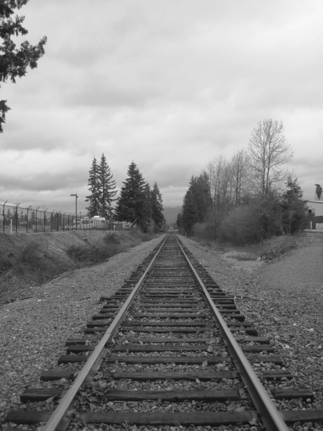 Arlington, WA: Arlington Railroad