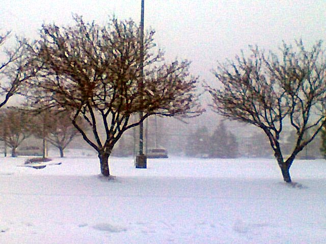 Brookfield, WI: April 2007 Snow