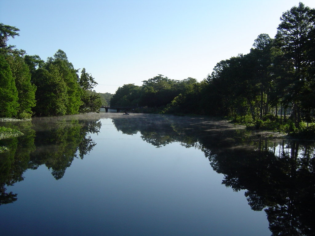 Lake Panasoffkee, FL: Outlet River Lake Panasoffkee, Fl