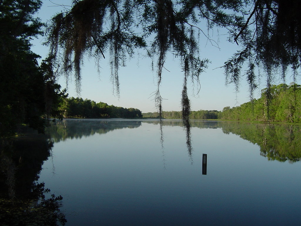 Lake Panasoffkee, FL: Withlacoochee River Lake Panasoffkee, Fl