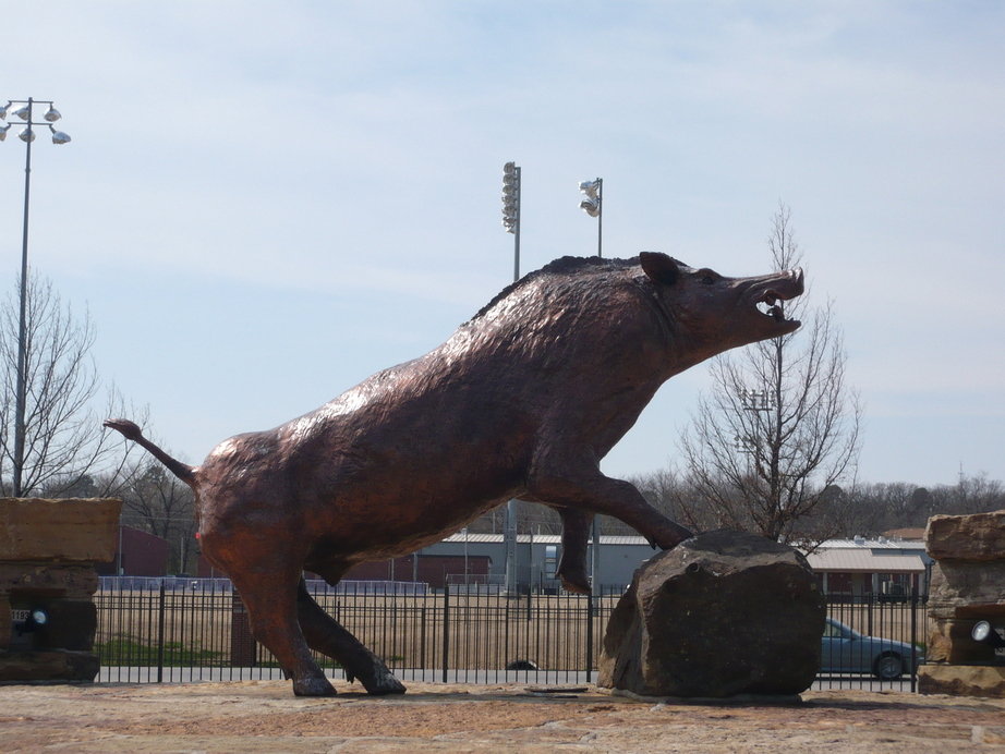 Fayetteville, AR: Razorback Statue at the University of Arkansas