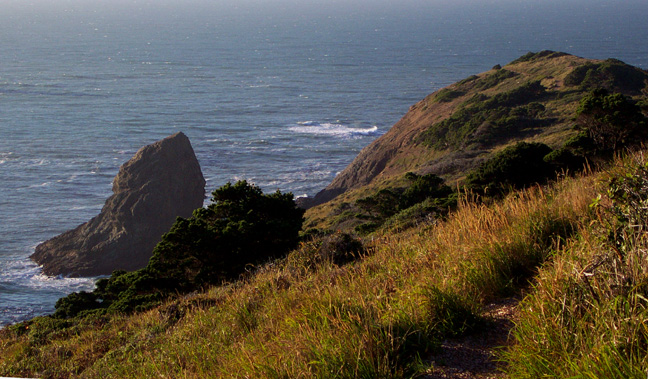 Port Orford, OR: Heads State Park