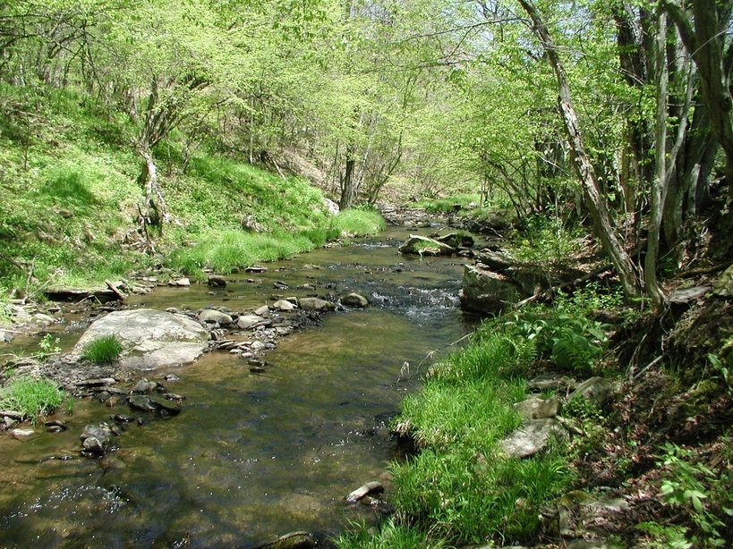 Walton, NY east branch deleware river photo, picture, image (New York