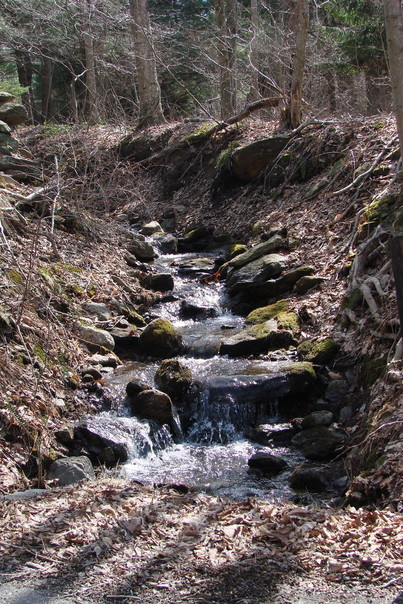 Hebron, CT: Water flowing near road