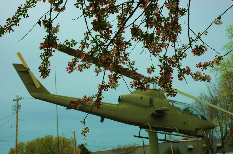 Fort Oglethorpe, GA: spring has come