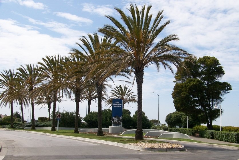 San Leandro, CA: The entrance to San Leandro Marina