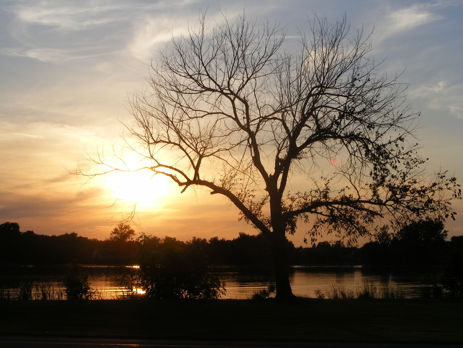 Balaton, MN Lake Yankton photo, picture, image (Minnesota) at city