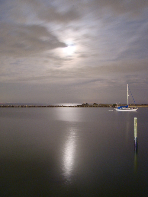 St. Petersburg, FL: View of the Bay from Demen's Landing