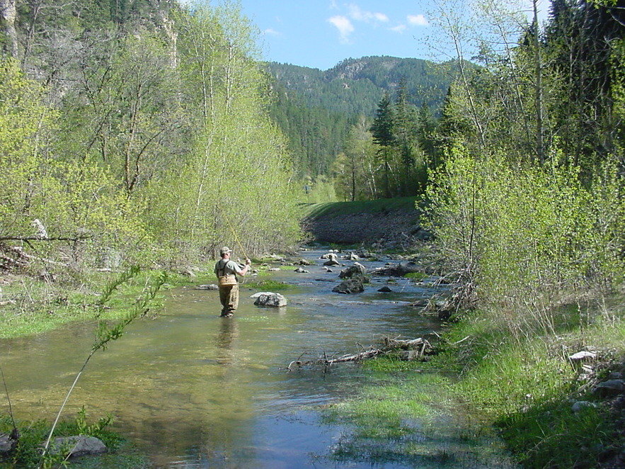 Spearfish, SD: Fly Fishing Spearfish Canyon, SD