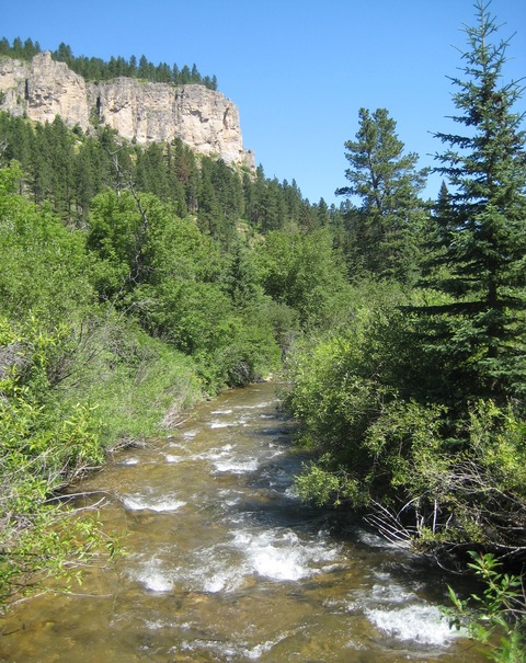 Spearfish, SD : Spearfish Creek, Spearfish Canyon, SD photo, picture ...