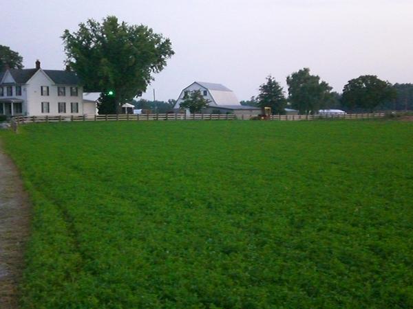 Walkersville, MD: Dairy Farm