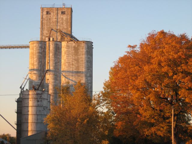Maroa, IL: Maroa's grain elevator, located on Main St. ~Taken at sunset during harvest season~