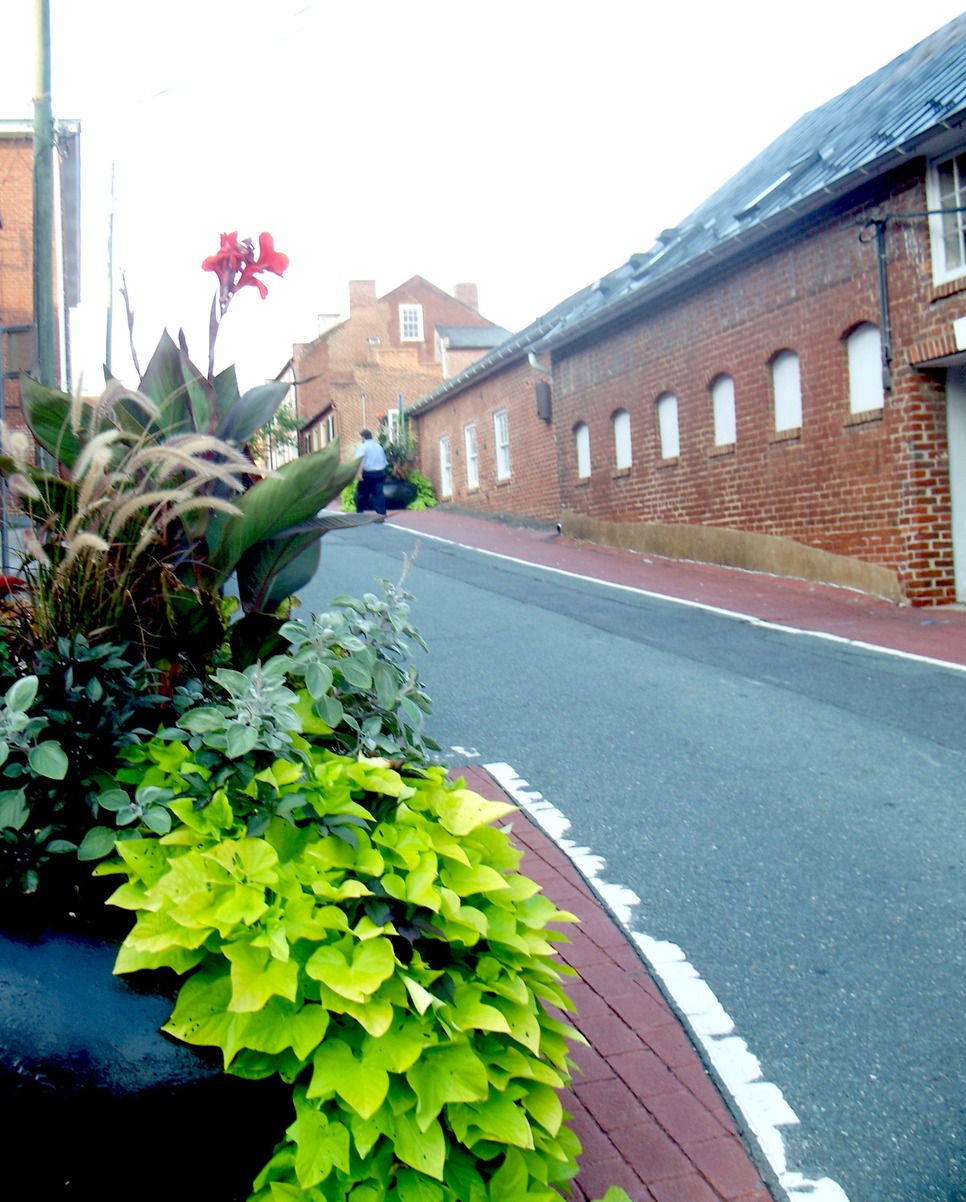 Charlottesville, VA Charlottesville city photo, picture, image