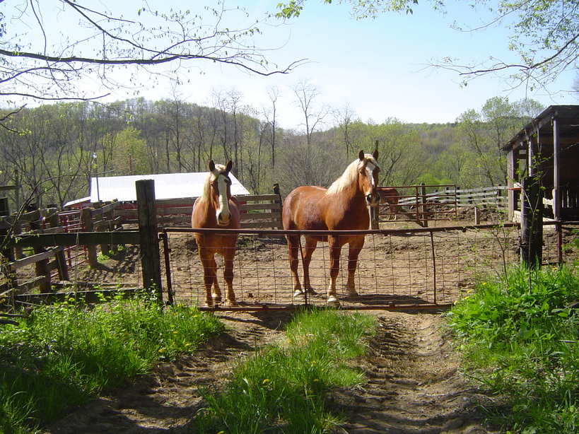 Leetonia, OH: farm while walking on the greenway trail