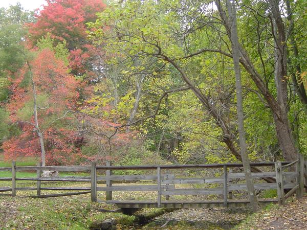 Leetonia, OH: Bridge at the coke oven's