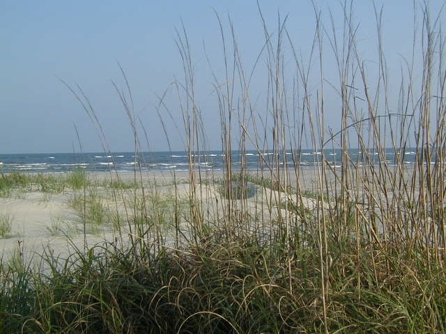 Ocean Isle Beach, NC: View of ocean from dunes on Ocean Isle Beach