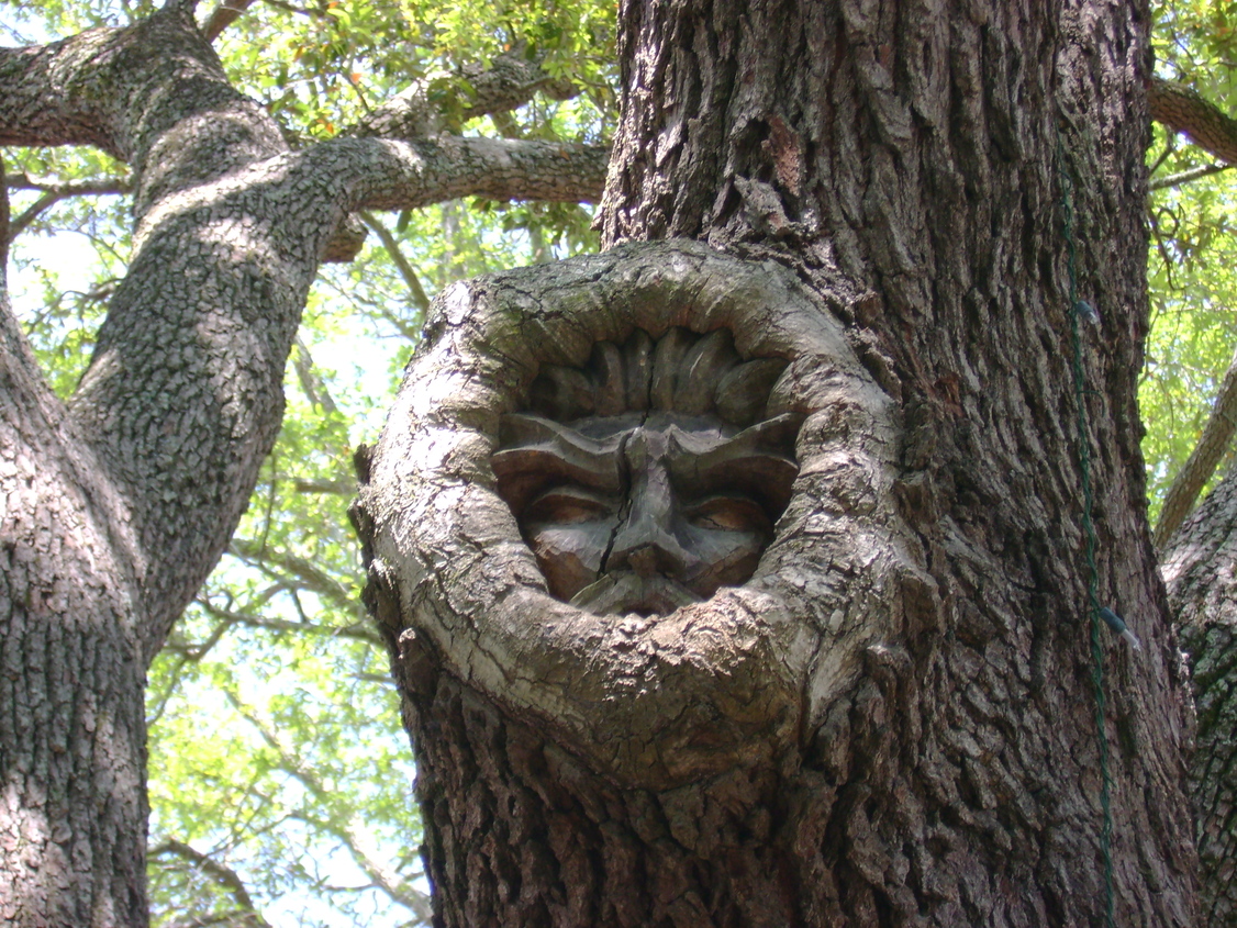 St. Simons, GA: Tree Spirit overlooking Gnat's Landing