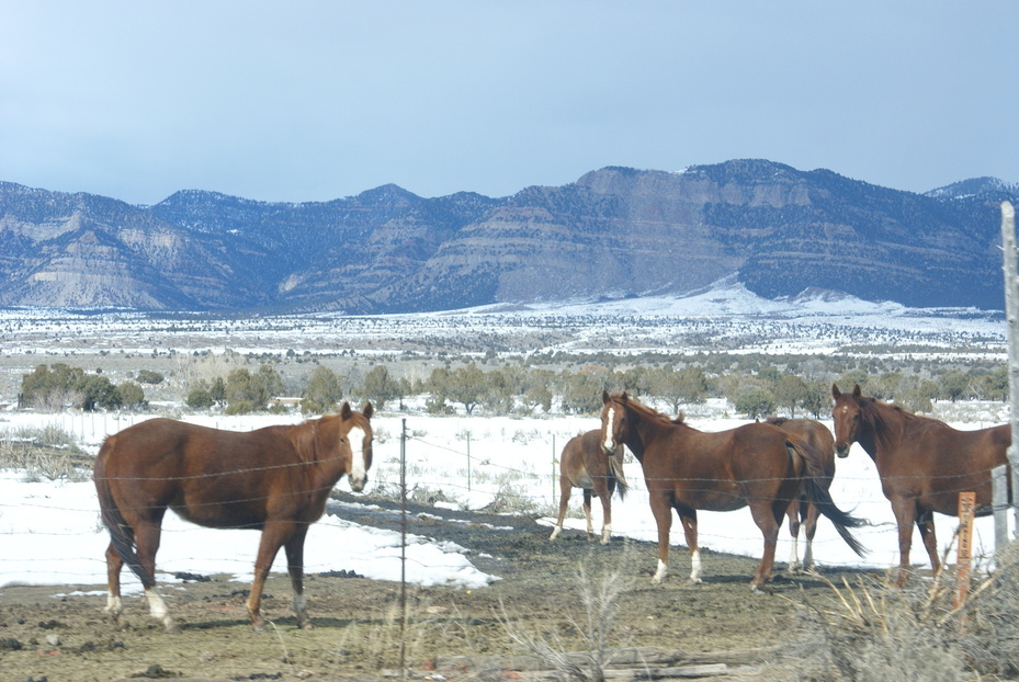 East Carbon, UT: Rangeland