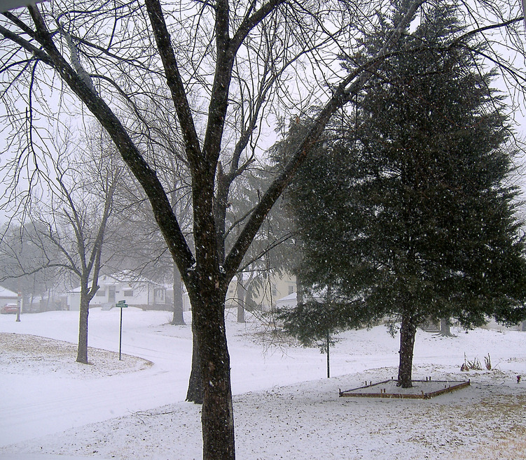 Country Club Hills, MO: Beautiful Snowy Day In Country Club Hills