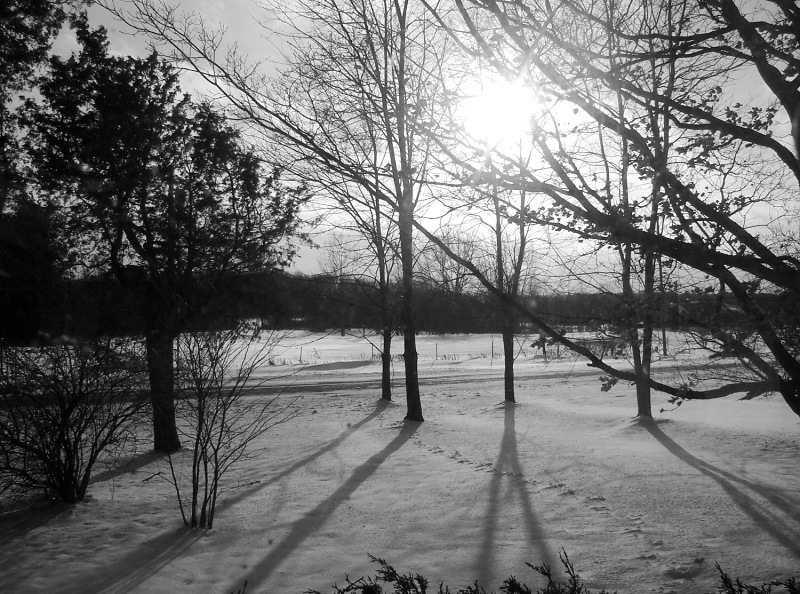 LeoCedarville, IN not much in leo photo, picture, image (Indiana) at