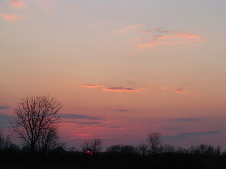 Braceville, IL: Sunset in field across from Braidwood Generating Station
