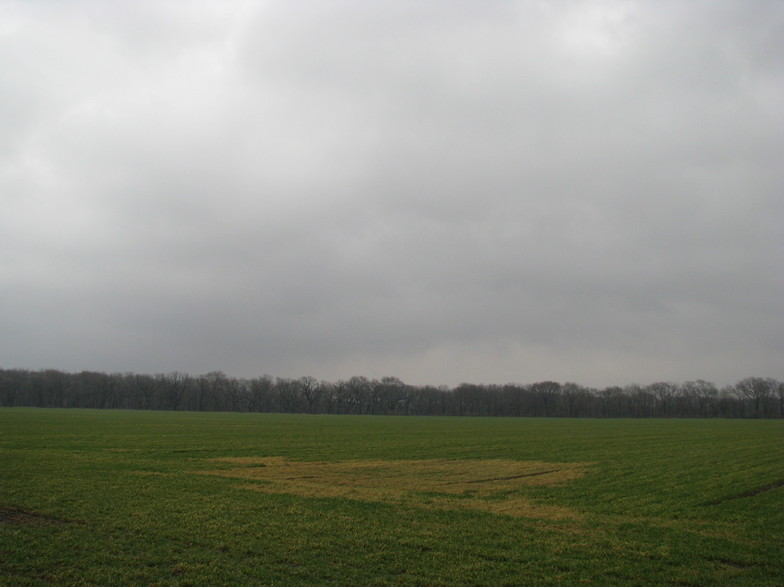 Braceville, IL: Cloudy Day over field across from Exelon