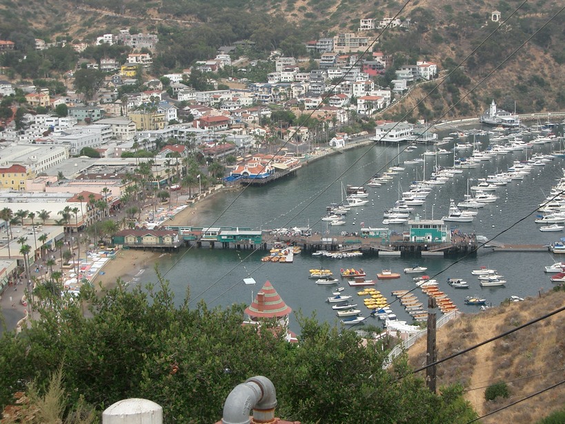 Avalon, CA : City from the hills photo, picture, image (California) at ...