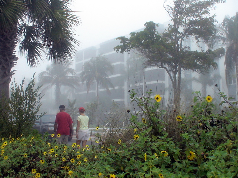 Siesta Key, FL: Siesta Key. Very early morning. Fog.