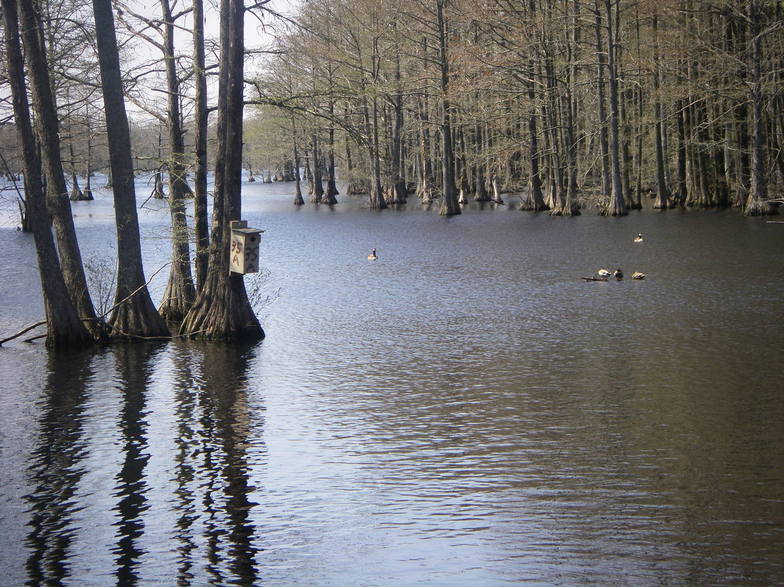 Smithfield, NC water photo, picture, image (North Carolina) at city