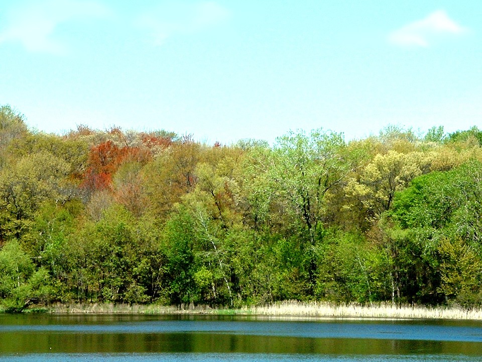 Minnetonka, MN: Lone Lake in Spring (2008)