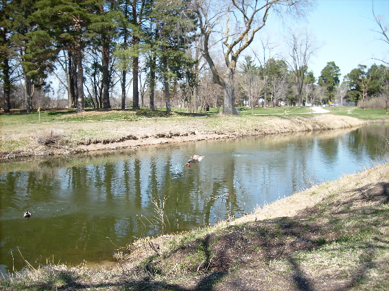 Columbus, NE: Pawnee park