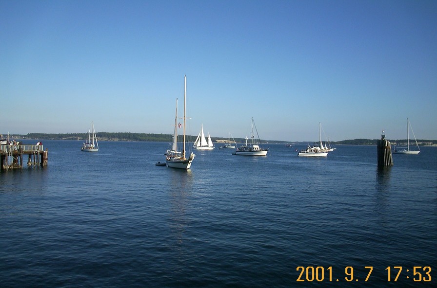 Port Angeles, WA: Boats On The Water -