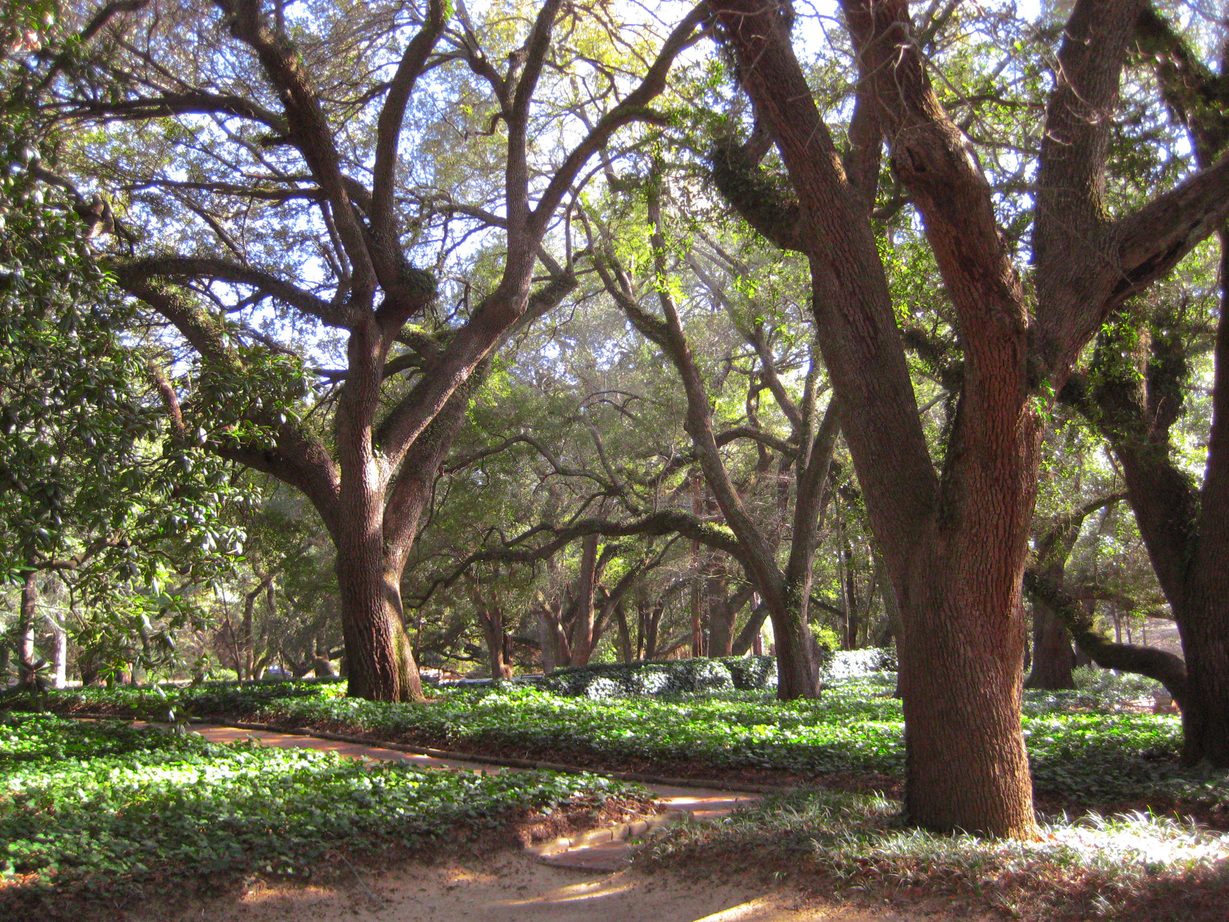 Aiken, SC: Hopeland Gardens