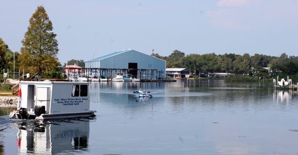 Crystal River, FL: Several companies offer river tours